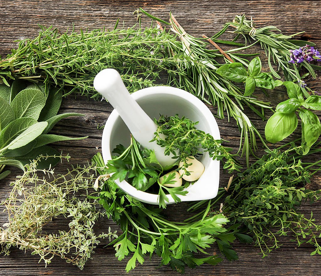 Kräuter Herstellung